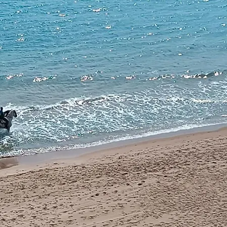 Blue Double Private At Front - En La Playa Piso Compartido Valencia