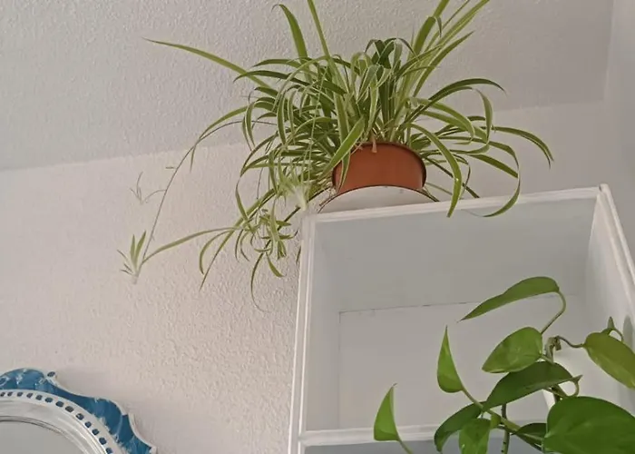 Quarto em Acomodações Particulares Blue Double Private At Front - En La Playa Piso Compartido