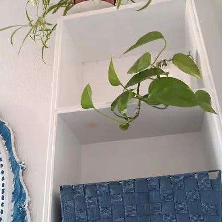 Blue Double Private At Front - En La Playa Piso Compartido バレンシア